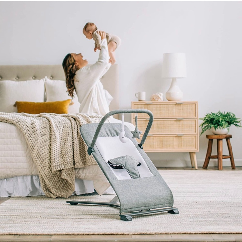 Baby Delight Alpine Deluxe Portable bouncer